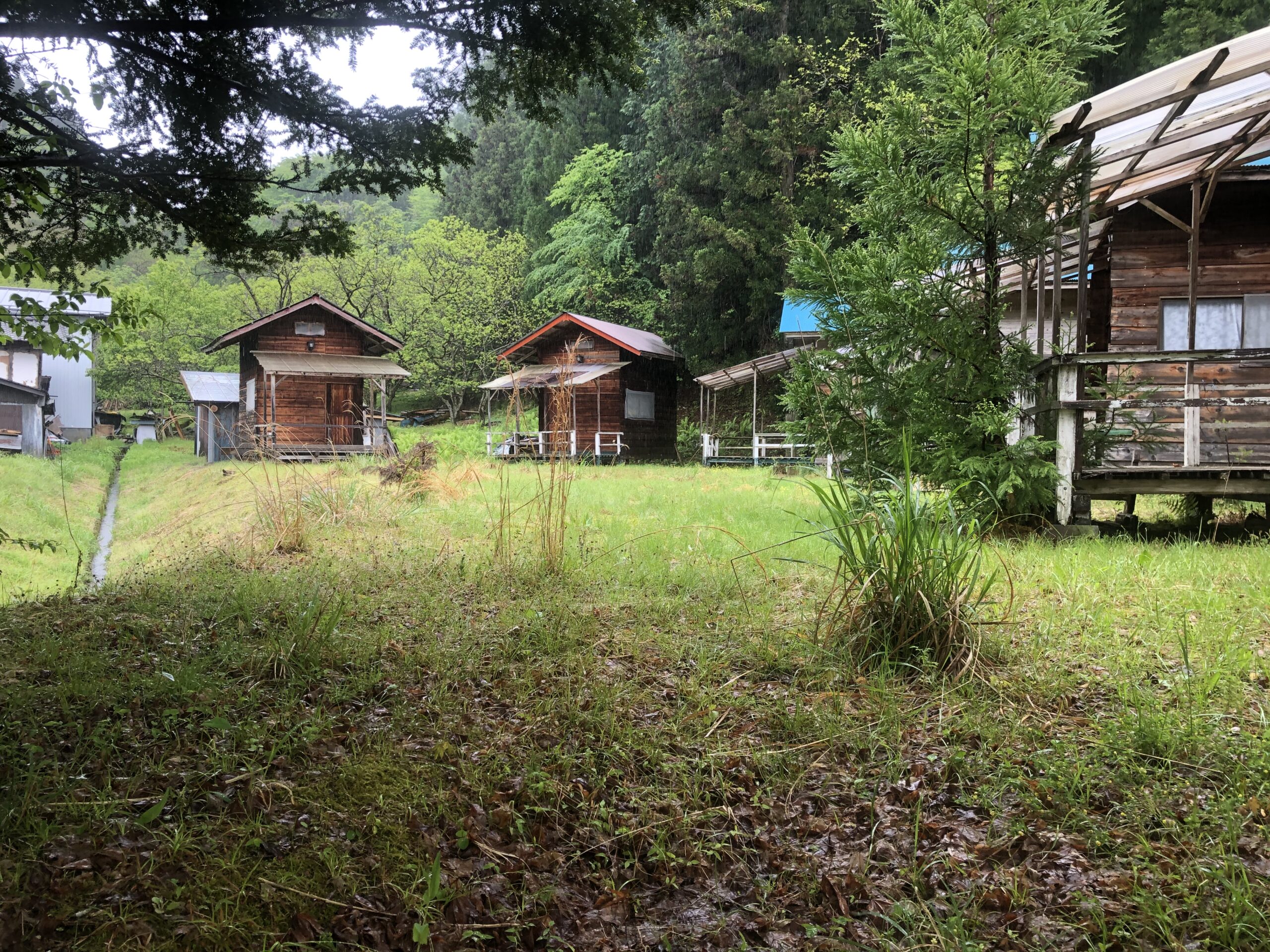 写真 2021-05-05 12 09 20